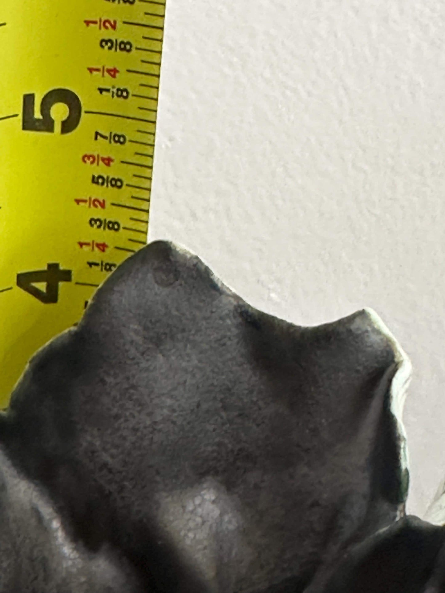 Modern Raku Freeform Sculptural Bowl